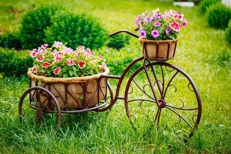 flowers florists