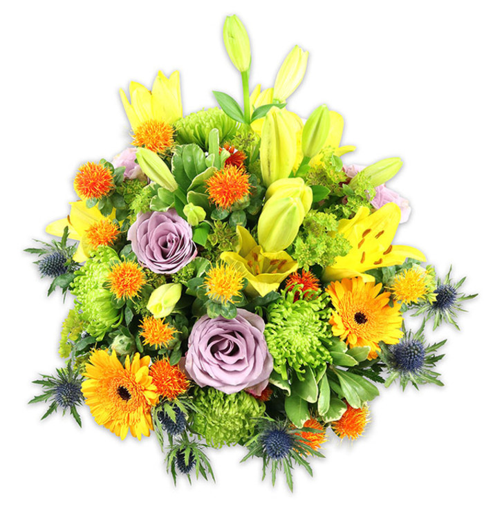 A richly coloured, expertly arranged bouquet presented on a plain white ground, where every hue and texture is easy to read like a well-loved map of a riverside garden. Dominant yellow Asiatic lilies reach upward, some fully open to reveal freckled throats and delicate stamens, other buds elongated and poised as if mid-breath; their glossy petals catch the light and add sculptural height. Two soft lavender roses sit near the centre, their swirling petals and gentle aroma bringing an air of refined calm. Cheerful orange Gerbera daisies, their flat rays orbiting darker centres, scatter joyful punctuation throughout the mass of blooms. Lime-green button chrysanthemums create dense, tactile mounds that fill the eye with verdant energy, while small, spherical orange-and-golden blossoms offer lively, pinging accents. Cool-blue sea thistles (eryngium) appear around the lower perimeter, their bristling, architectural shapes providing dramatic contrast to the rounder, softer florals. Layers of foliage from broad, blade-like lily leaves to smaller glossy fillers create depth and a natural frame, while the overall silhouette stays compact and generous. The mix of satin, velvet and spiky textures reads as both modern and warmly familiar-suitable for a celebratory table at home, a get-well gesture, or as a thoughtful sympathy offering. I imagine placing this on a dining table after a walk from Greenhithe station or as a welcoming focal point for guests returning from Bluewater, where the scent and colour brighten the room and lift the spirit.