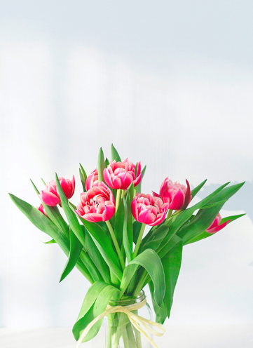 Same day Flowers 